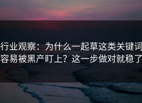 行业观察：为什么一起草这类关键词容易被黑产盯上？这一步做对就稳了
